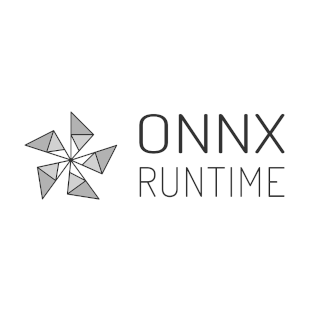 ONNX Runtime